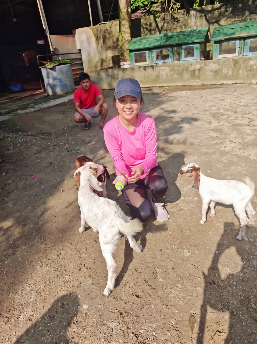 A young guest crouching with the baby goats at the stable, a feeding bottle in her hand