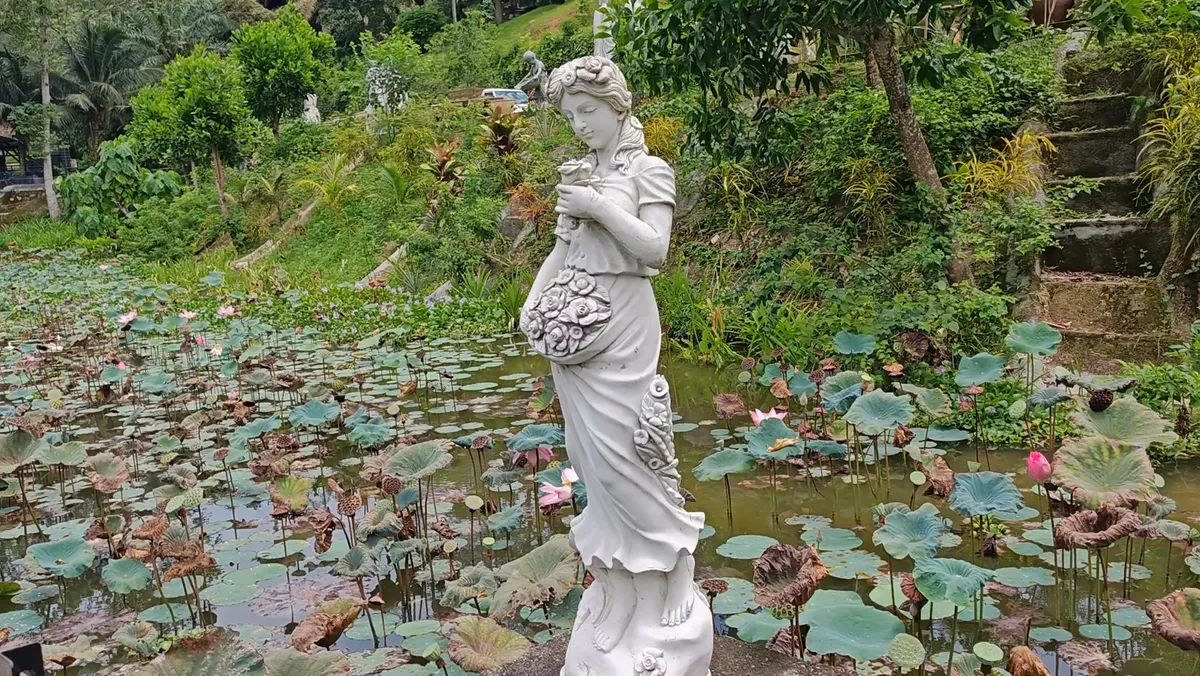A white statue of a woman among the lotus pads at the edge of the pond