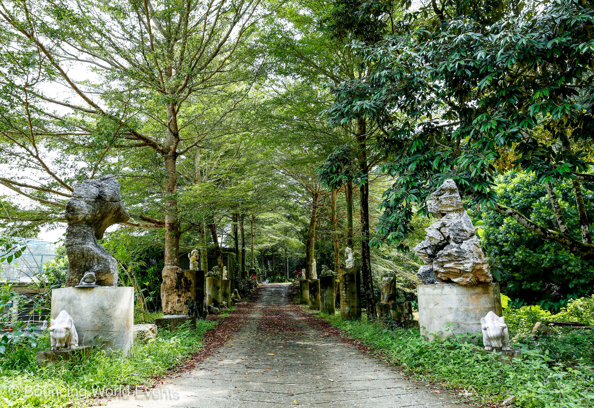 Forest sculpture trail path
