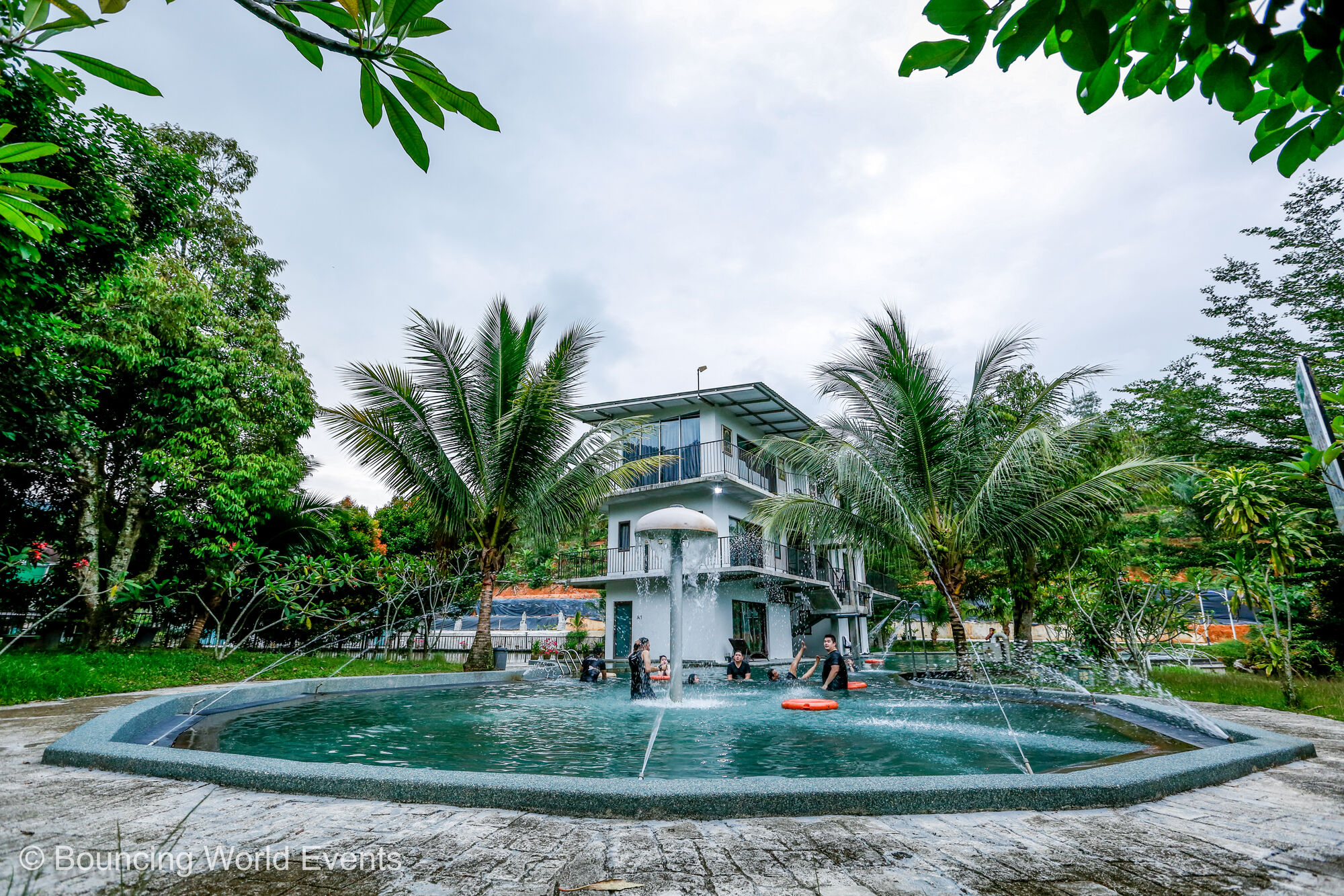 Swimming pool surrounded by palm trees