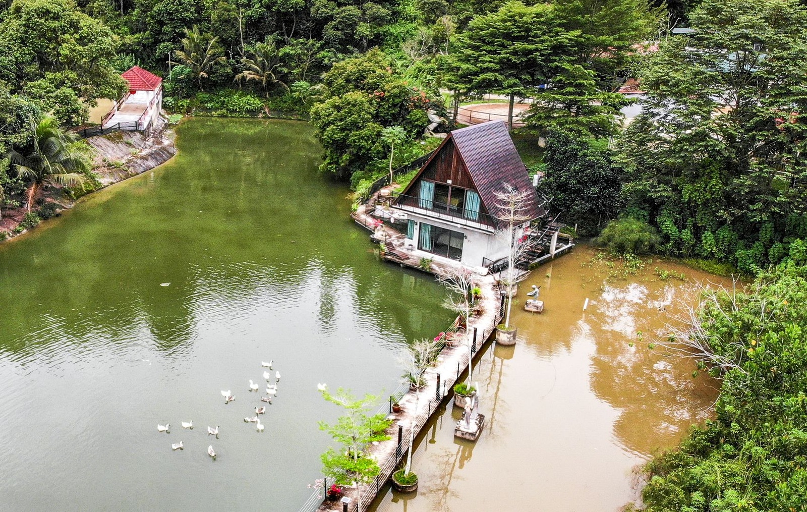 Aerial view of lake chalets on Emerald Lake with swans at Mantin Forest Art Farmstay
